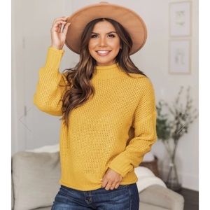 Pink Lily Boutique cropped sweater